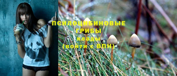 герыч Алзамай